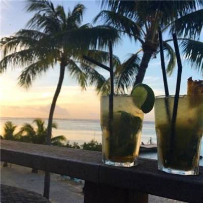 赏金女王下载ios